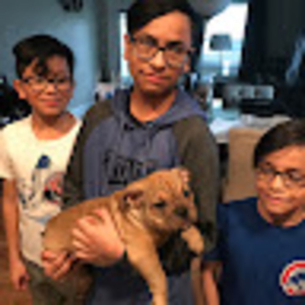 Meet your Posher, Portillo